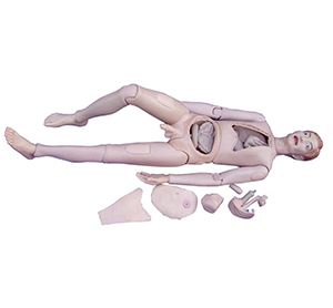 High Quality Nurse Training Doll (Male)